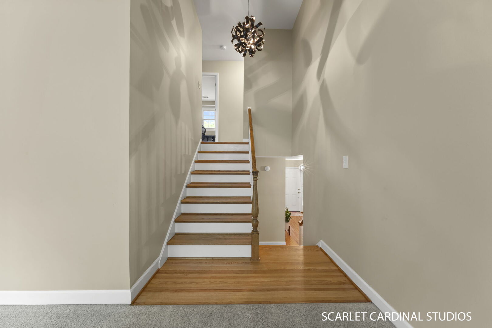 1131 Overton Court, Naperville, IL 60540