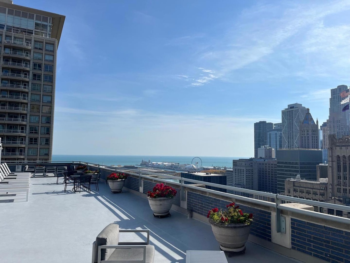 222 E Pearson Street #1205, Chicago, IL 60611