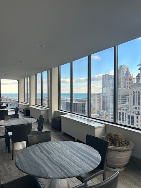 222 E Pearson Street #1205, Chicago, IL 60611