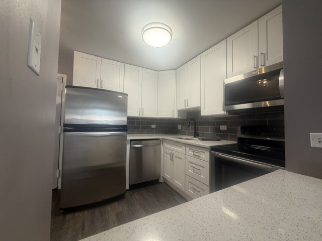 222 E Pearson Street #1205, Chicago, IL 60611