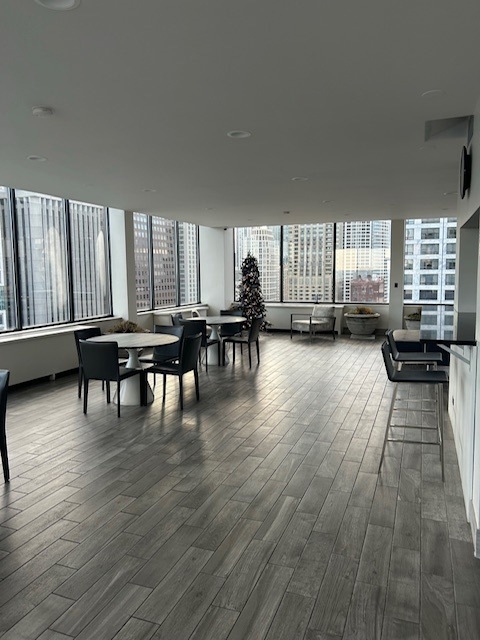 222 E Pearson Street #1205, Chicago, IL 60611