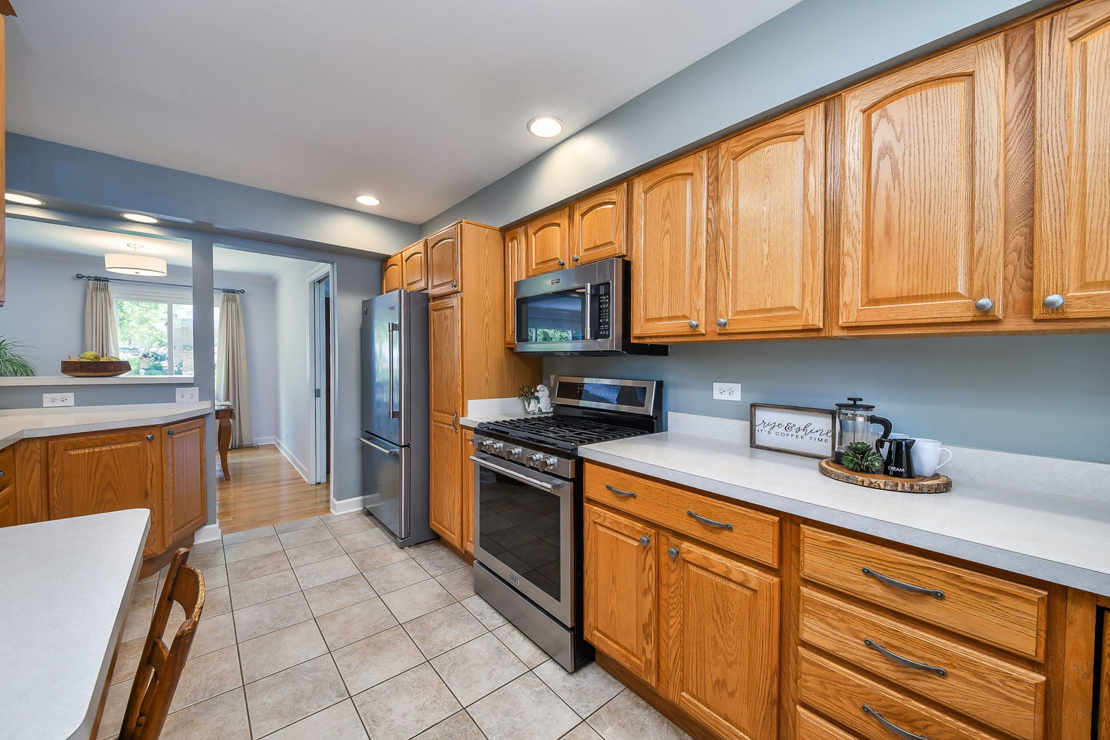 1541 Brittany Court, Wheaton, IL 60189