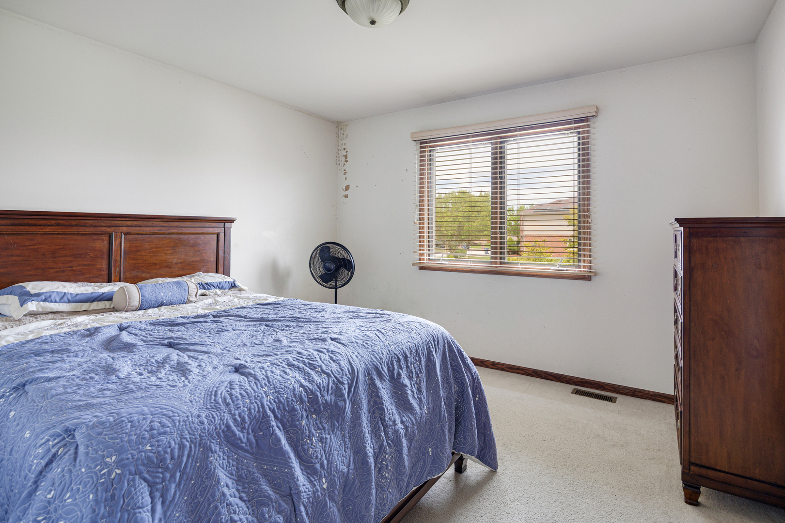 21223 Alessandra Drive, Matteson, IL 60443