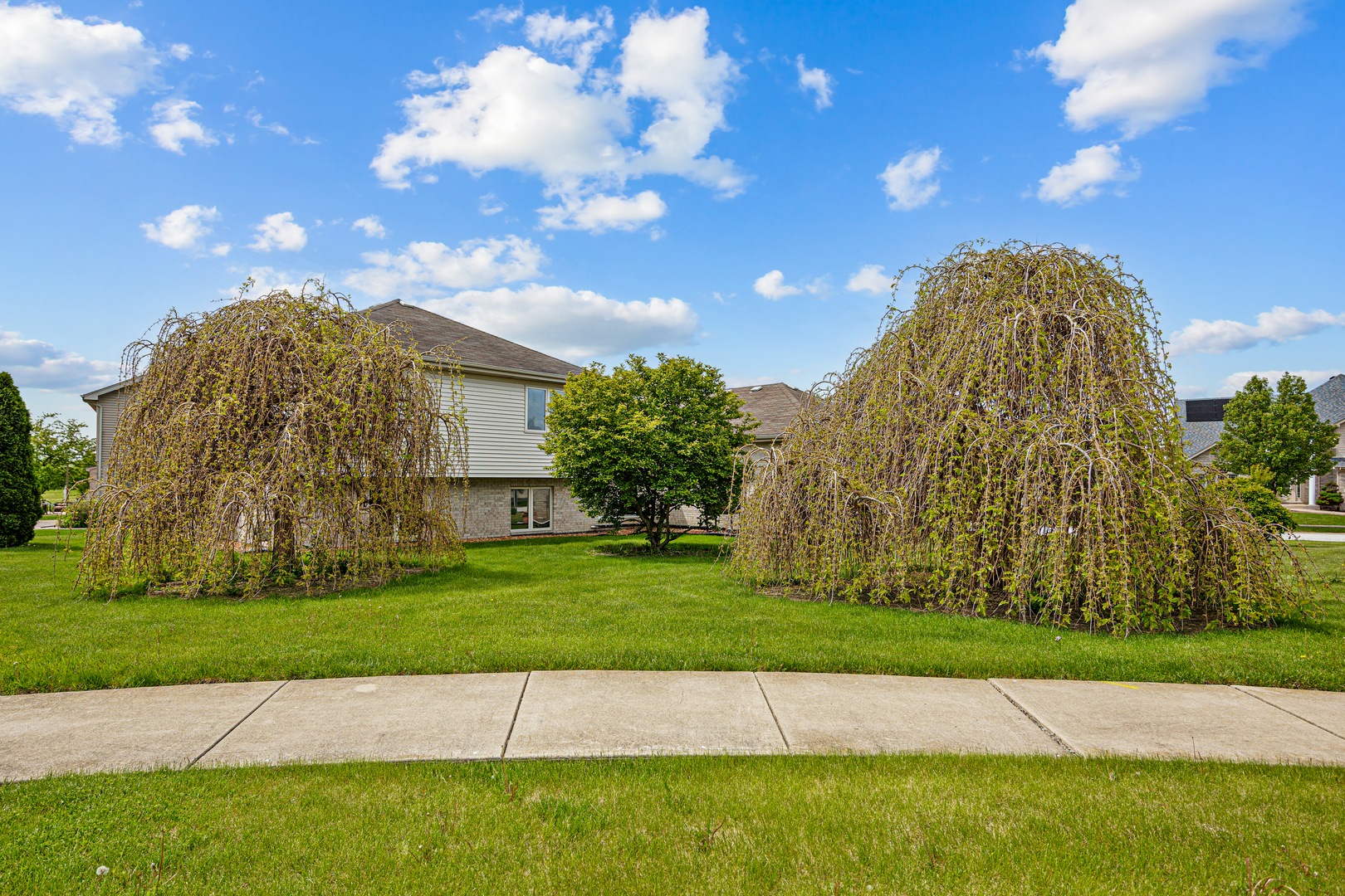 21223 Alessandra Drive, Matteson, IL 60443