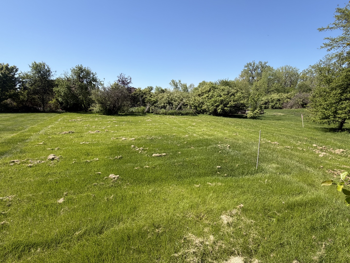 18006 S Crystal Lake Drive, Mokena, IL 60448
