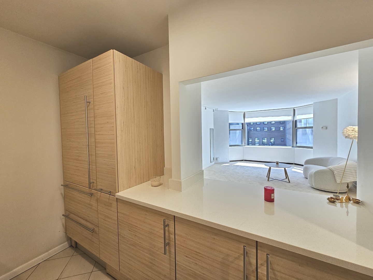 535 N Michigan Avenue #1705, Chicago, IL 60611