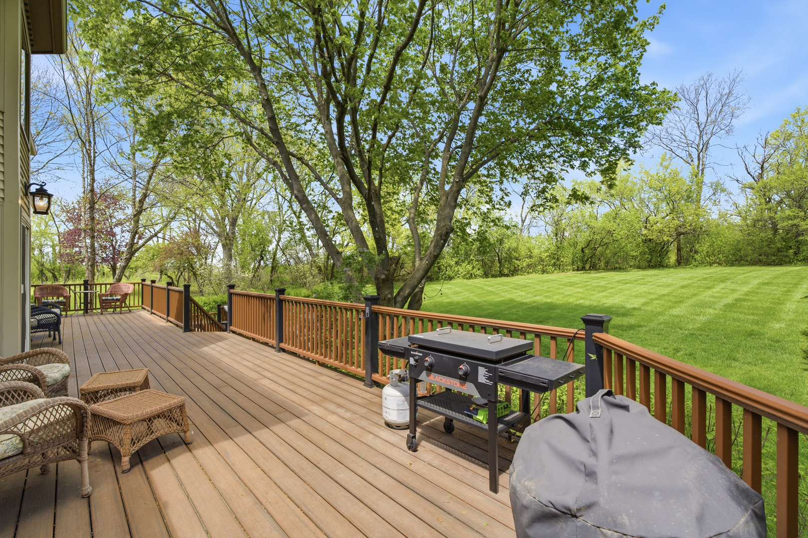 23536 W Juniper Court, Deer Park, IL 60010