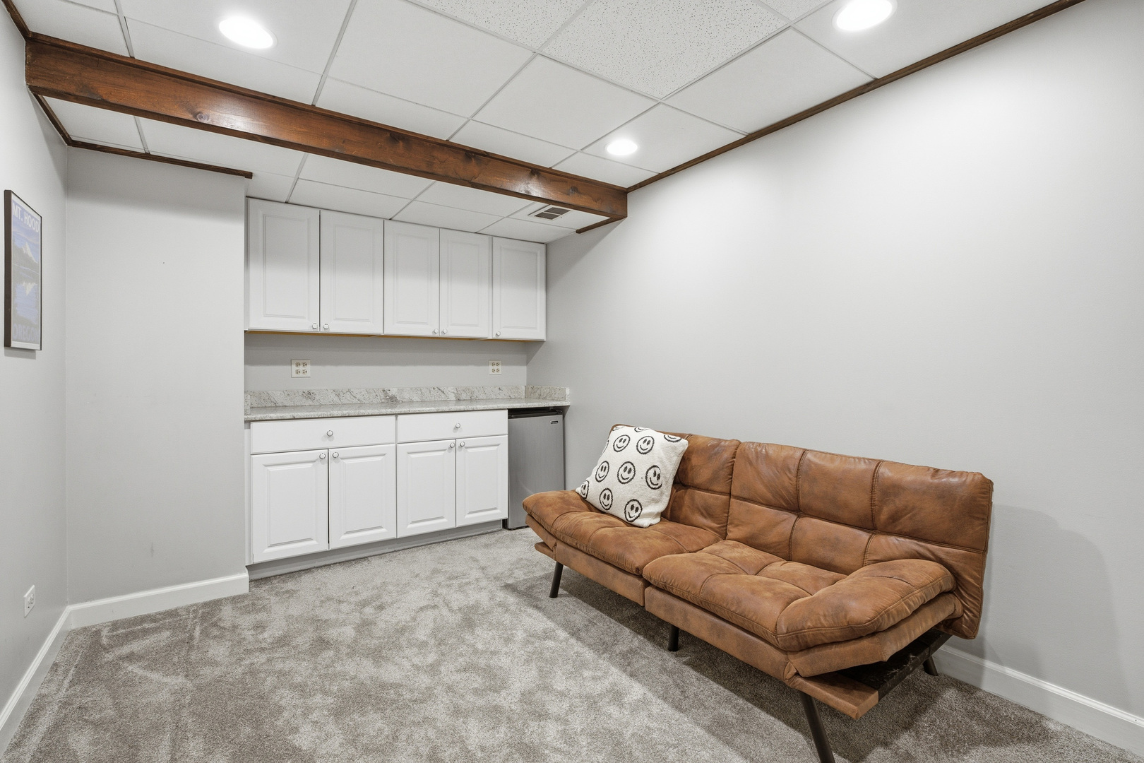 23536 W Juniper Court, Deer Park, IL 60010