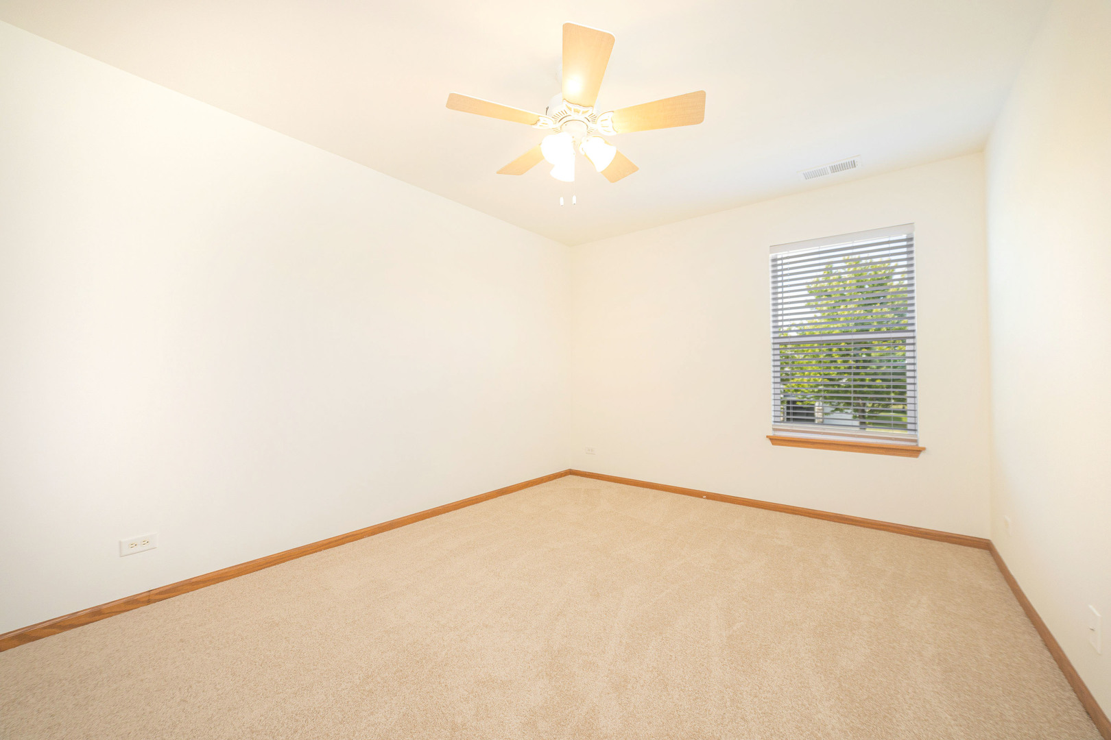 24207 Cedar Creek Lane, Plainfield, IL 60586