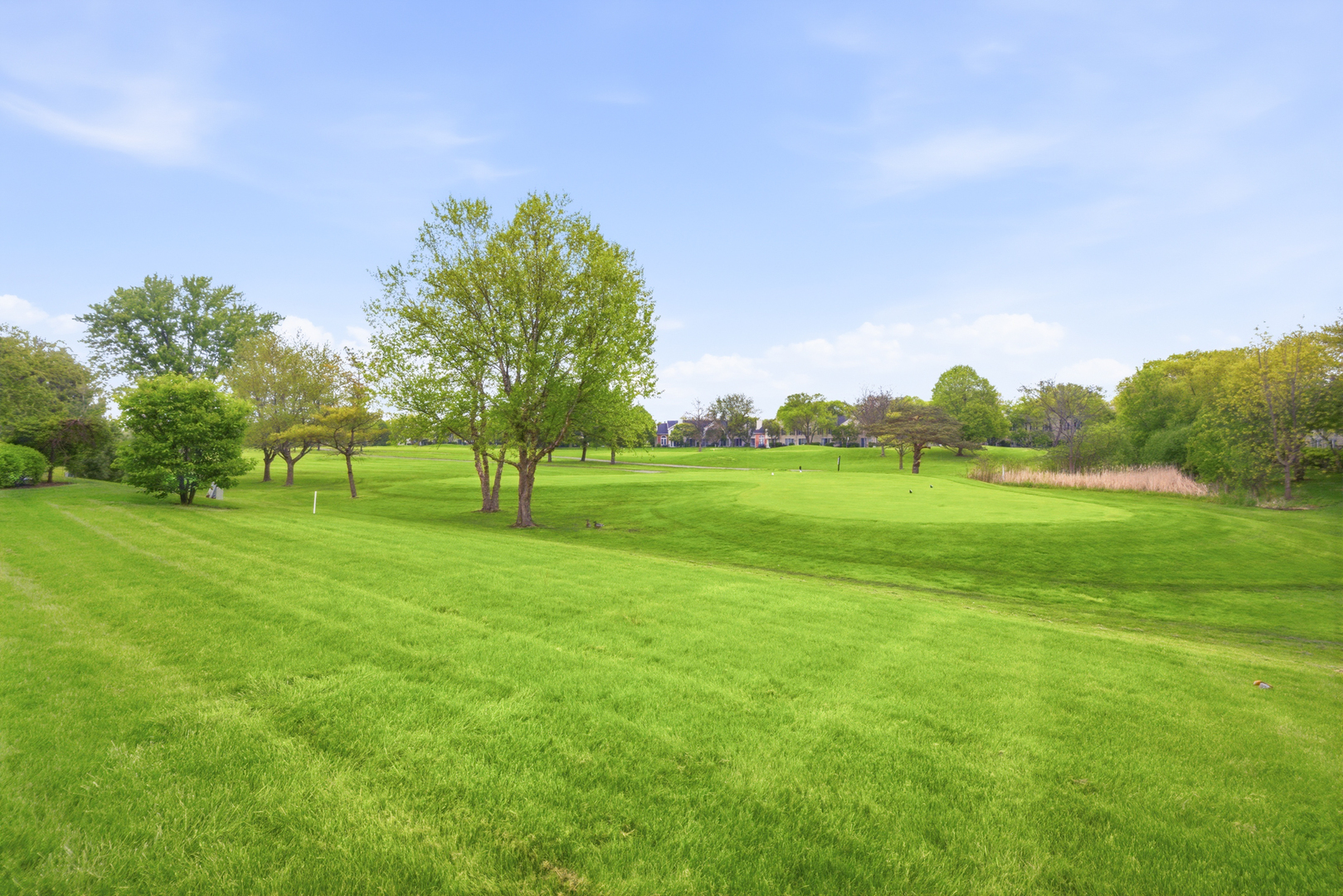 1441 GREENS Court #B, Glendale Heights, IL 60139