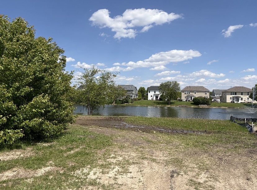 21339 Somerset Street, Shorewood, IL 60404