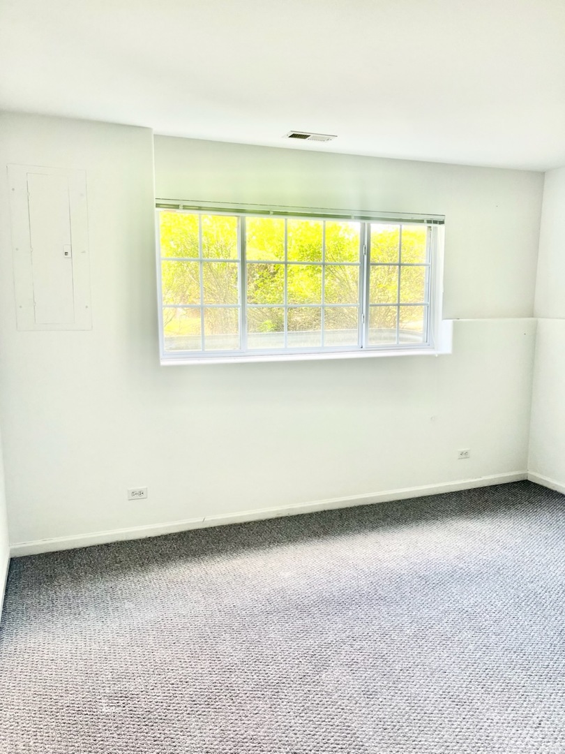 4323 Savoy Lane #4323, McHenry, IL 60050