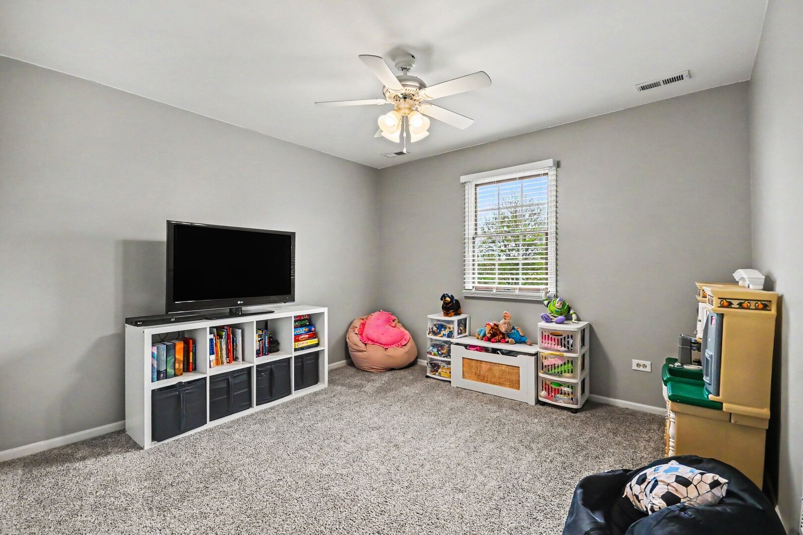 17455 S Mccarron Road, Homer Glen, IL 60491