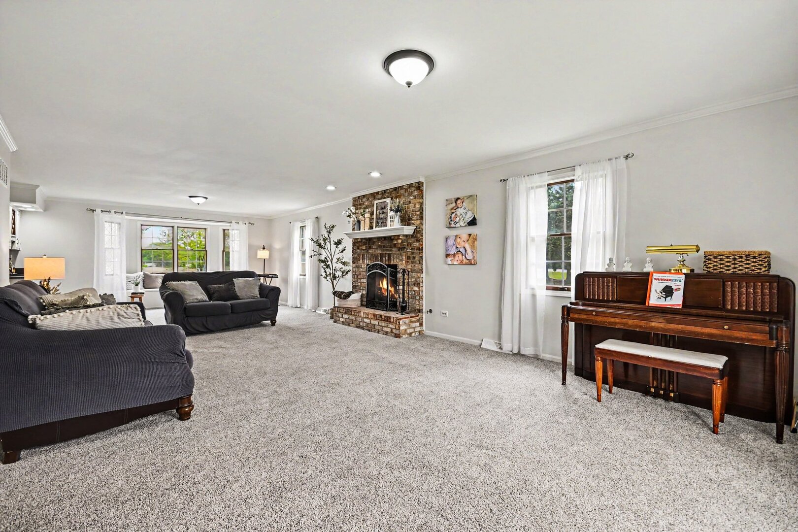 17455 S Mccarron Road, Homer Glen, IL 60491
