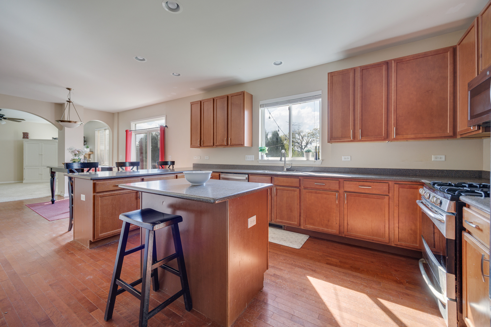 1387 Baroque Avenue, Volo, IL 60073