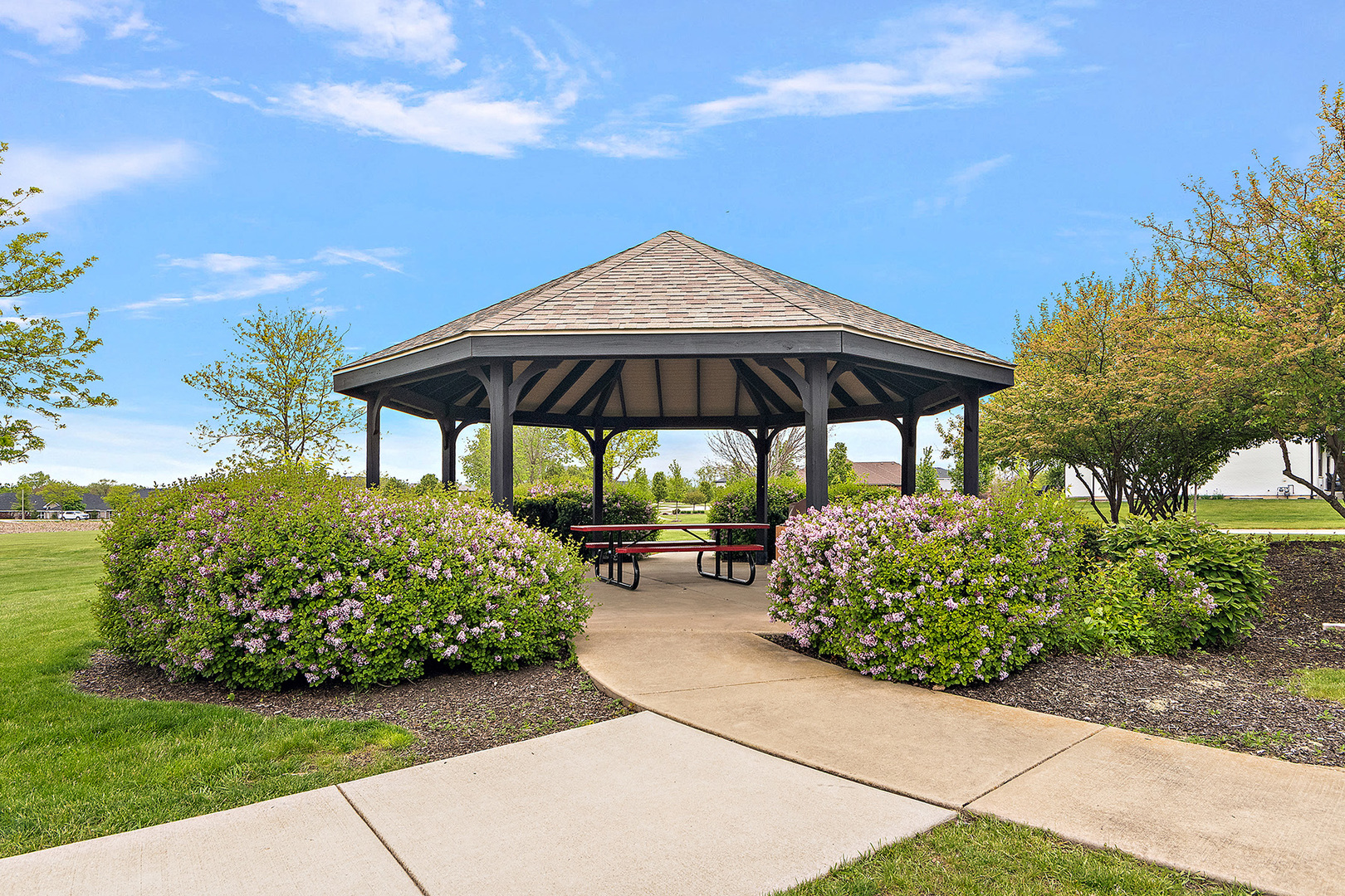 15909 Pairie View Court #T1, New Lenox, IL 60451