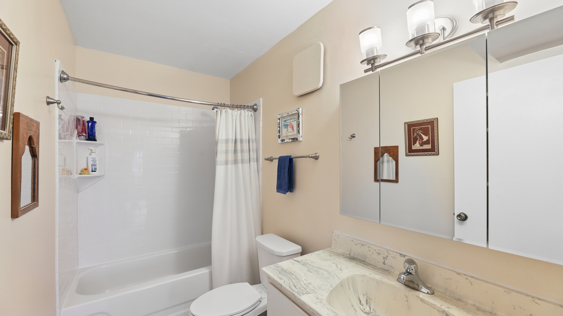 608 Waterford Road #1B, Schaumburg, IL 60193