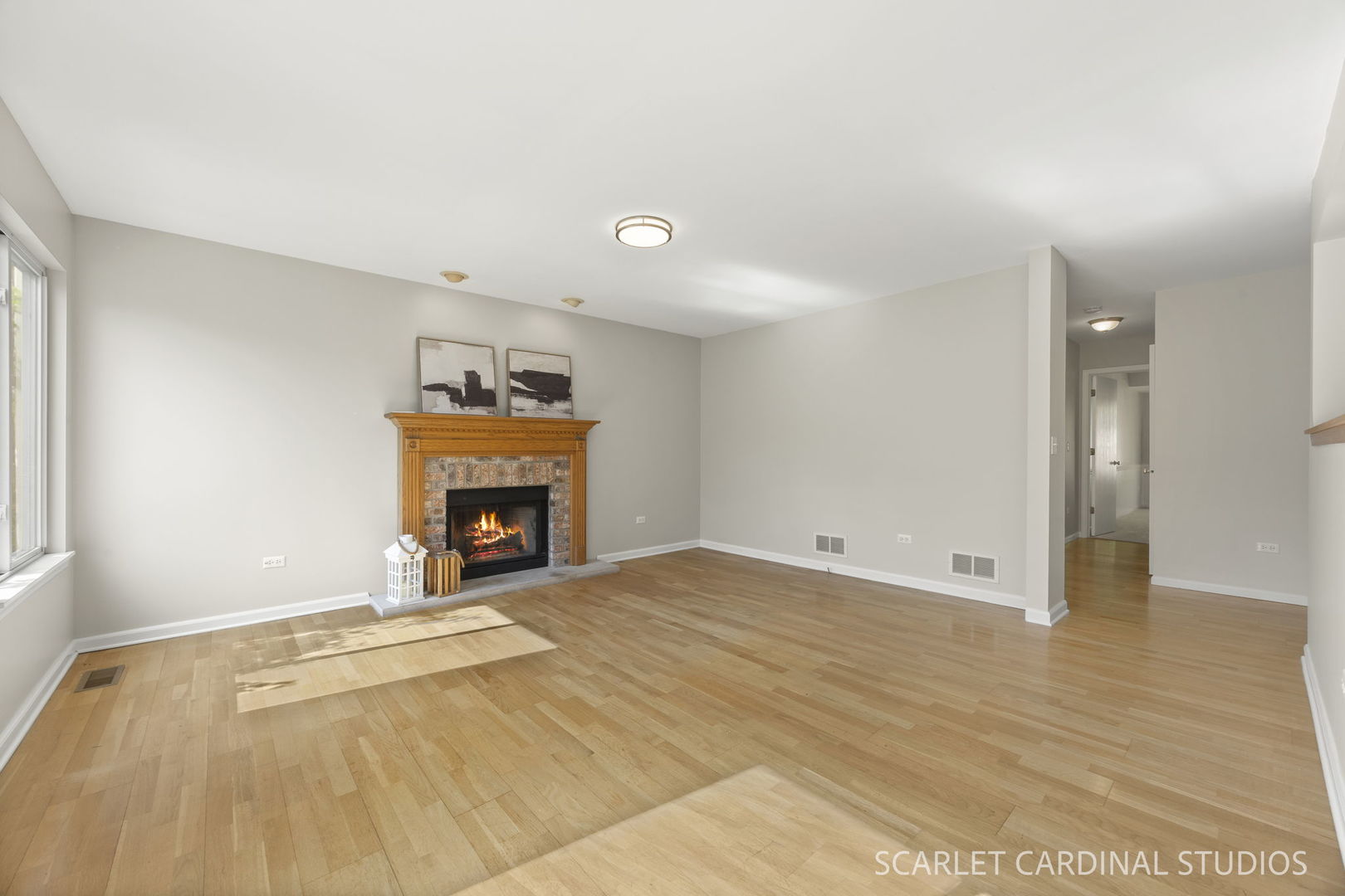 169 Woodlet Lane, Bolingbrook, IL 60490