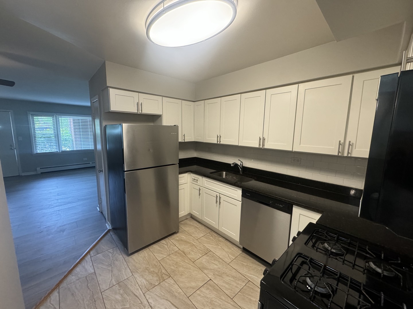 105 E Grove Street #2, Lombard, IL 60148