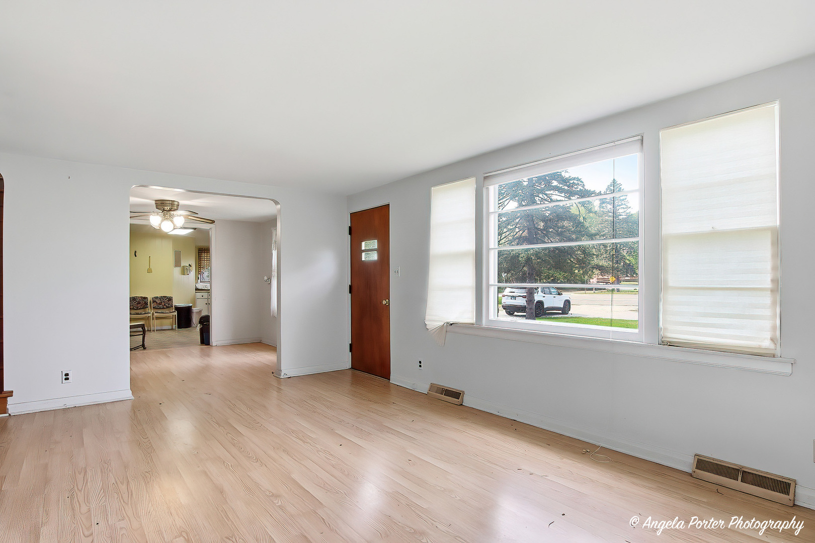 42177 N Lake Avenue, Antioch, IL 60002