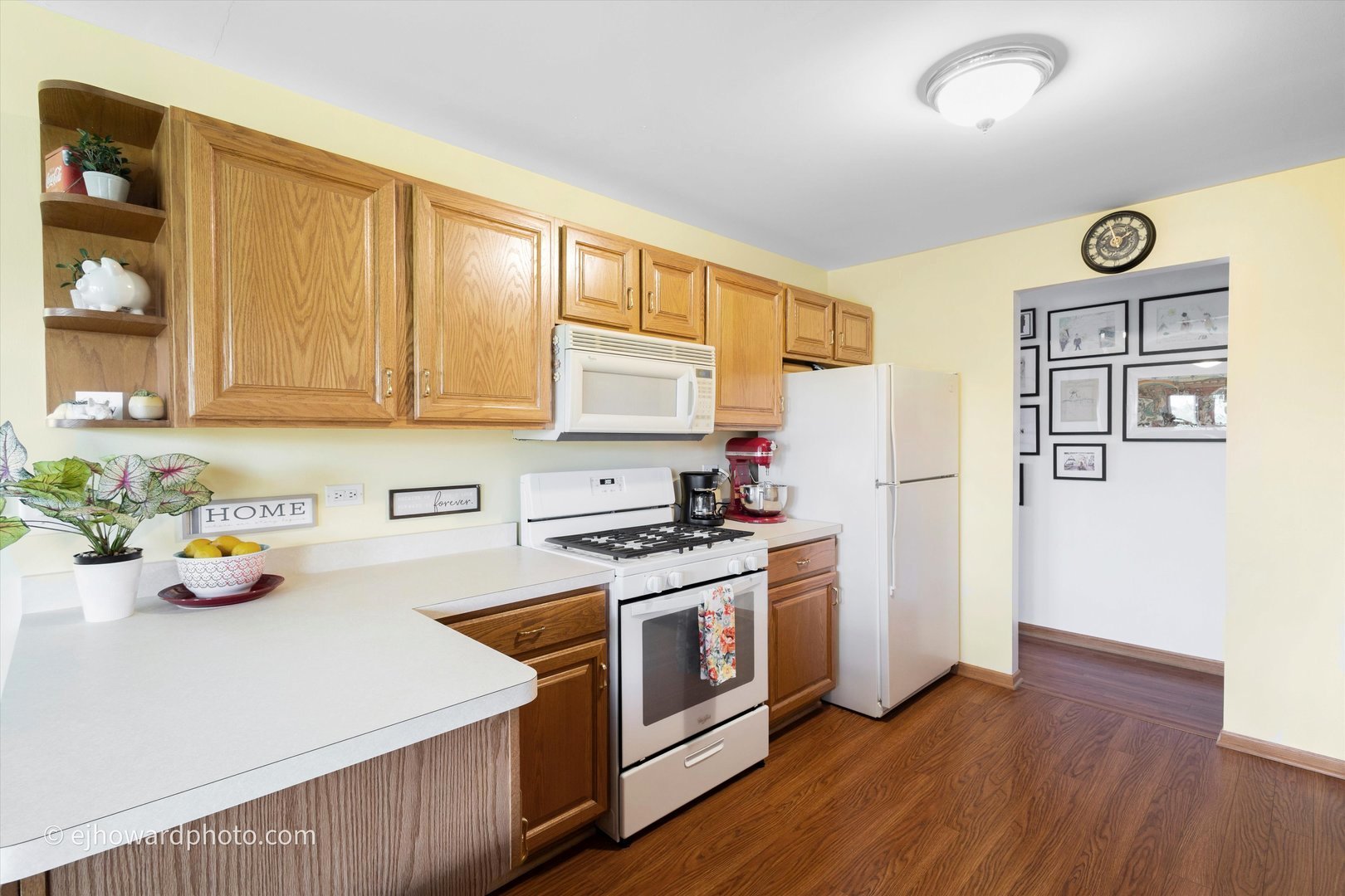 19423 Manchester Drive #19423, Mokena, IL 60448