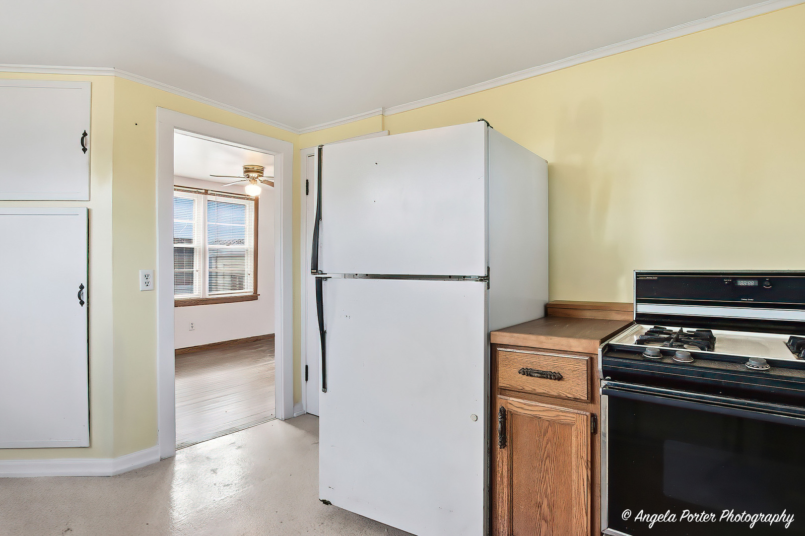 42169 N Lake Avenue, Antioch, IL 60002