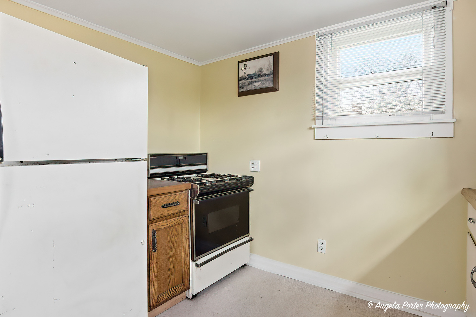 42169 N Lake Avenue, Antioch, IL 60002