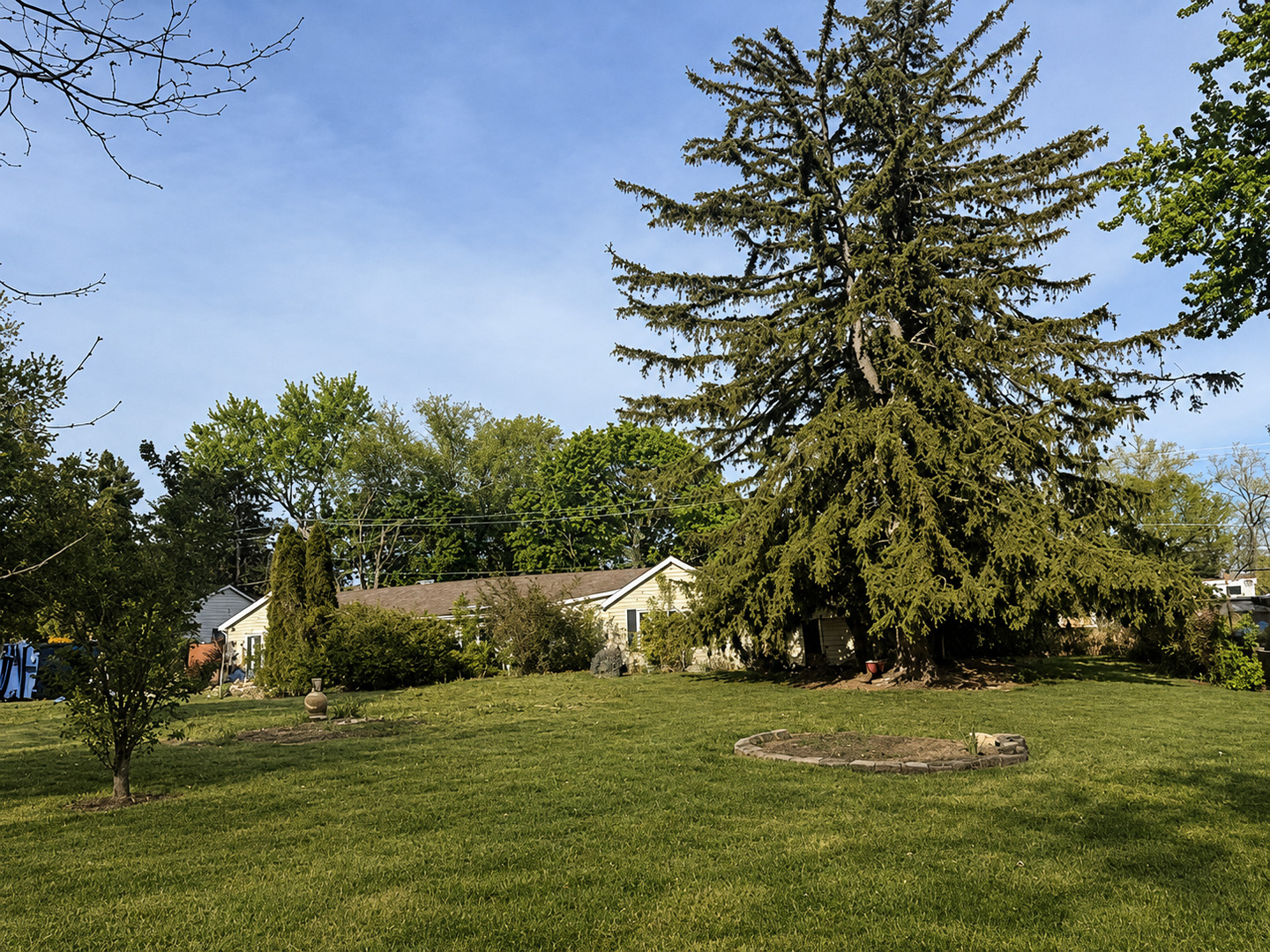 1028 S Walnut Avenue, Arlington Heights, IL 60005