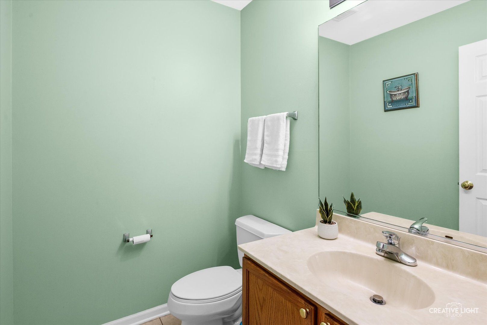 3250 Cool Springs Court, Naperville, IL 60564