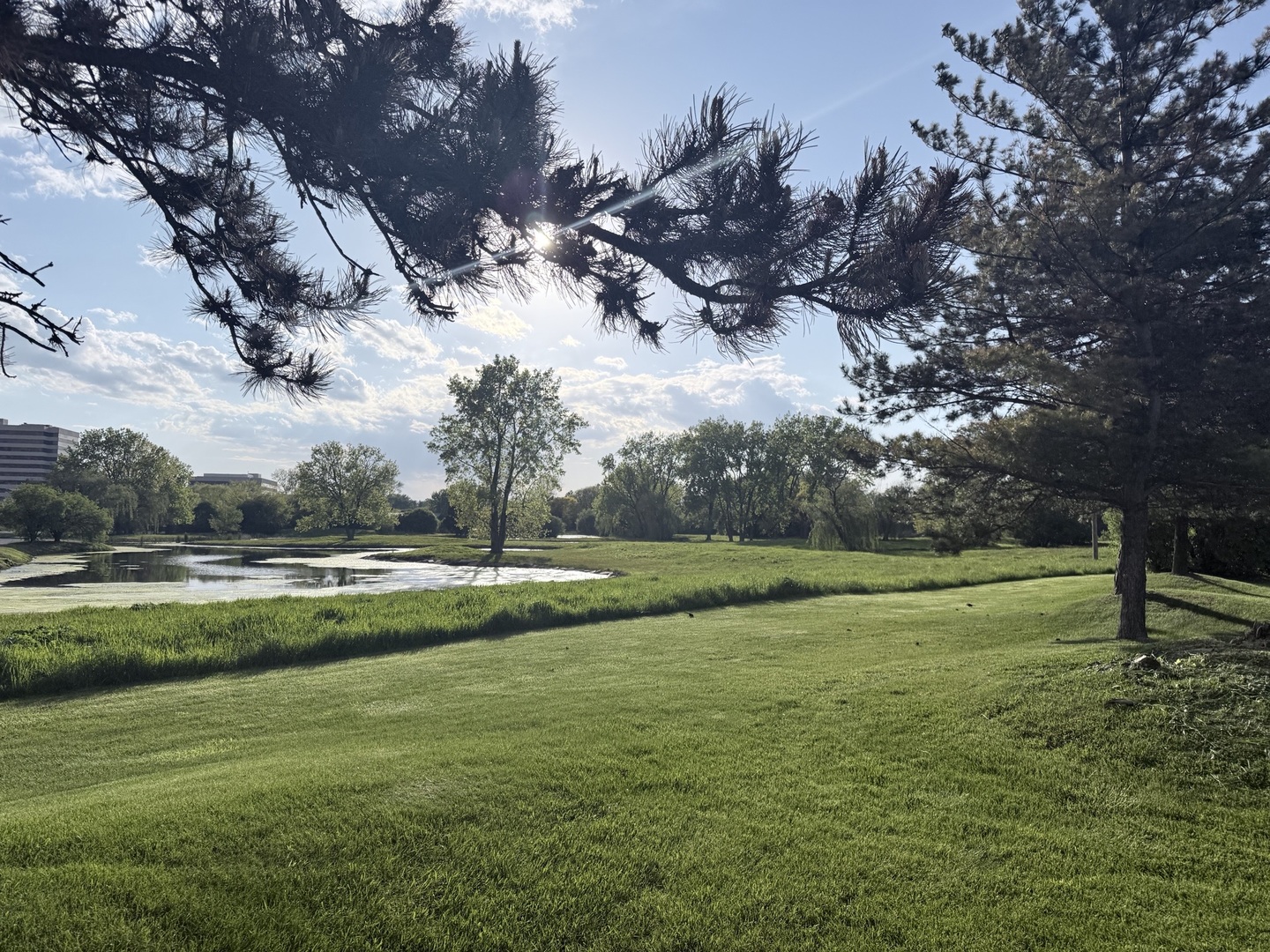 1S476 Renaissance Boulevard, Oak Brook, IL 60523