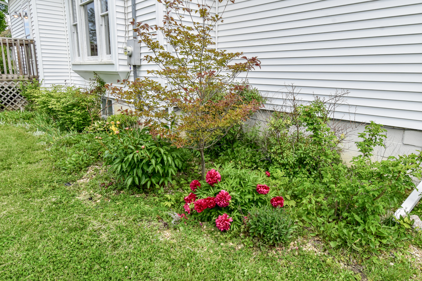 315 N 4th Street, Chatsworth, IL 60921