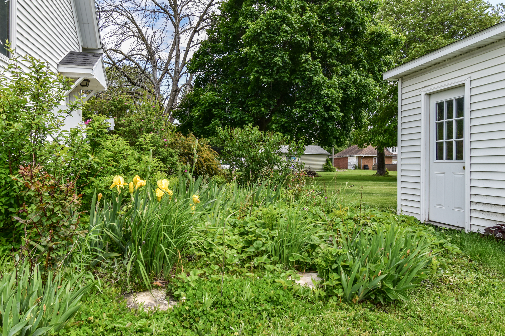 315 N 4th Street, Chatsworth, IL 60921