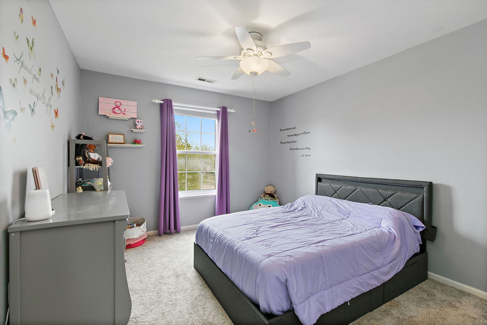 142 Meadows Drive, Gilberts, IL 60136