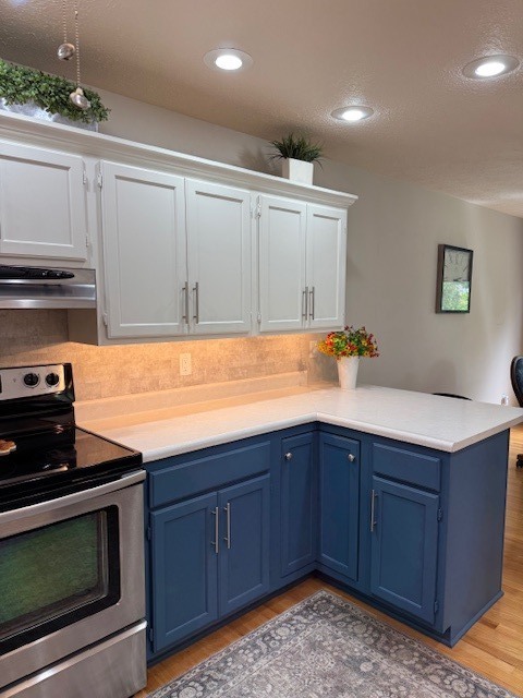 307 Carol Court #D1, Pontiac, IL 61764