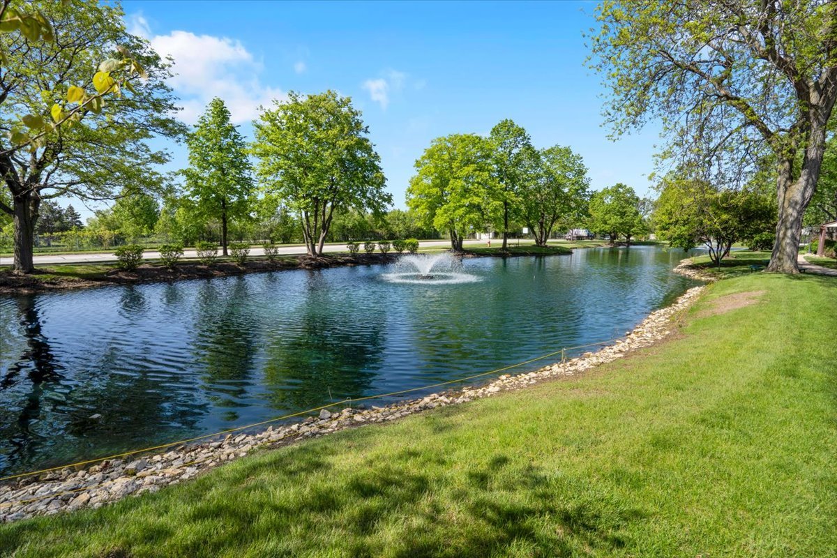 2213 Wharf Drive #407, Woodridge, IL 60517