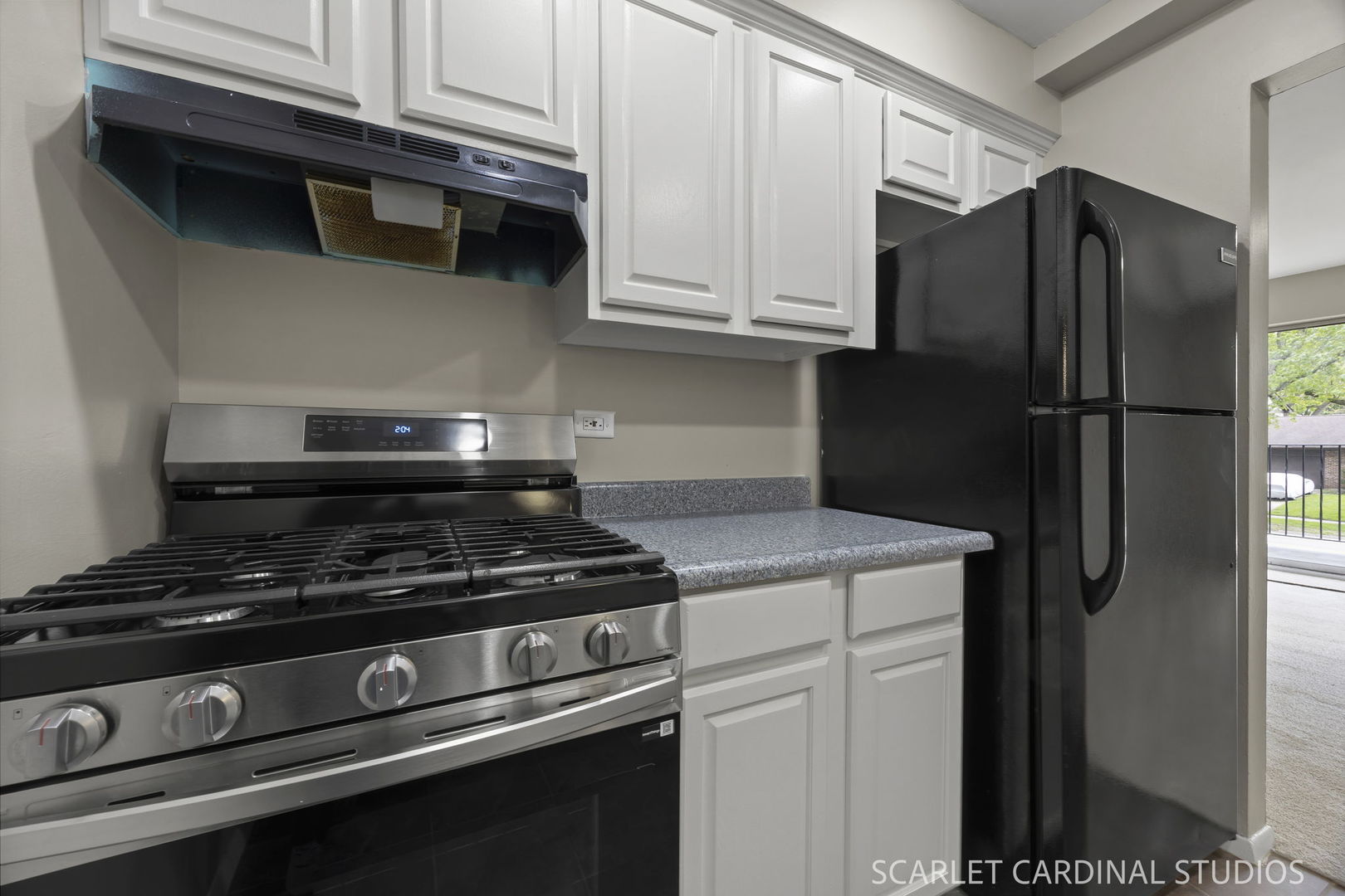 1105 Royal St George Drive #206, Naperville, IL 60563