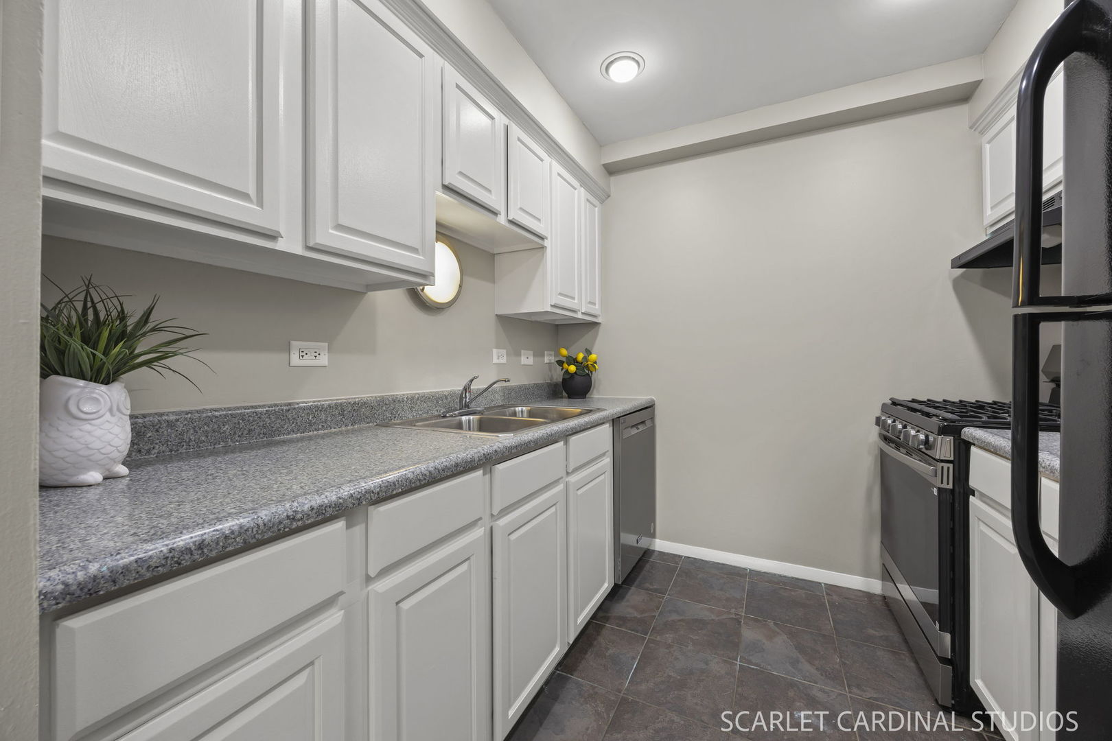 1105 Royal St George Drive #206, Naperville, IL 60563
