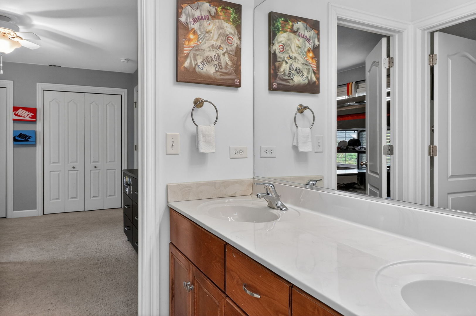 25002 Chalk Hill Circle, Plainfield, IL 60544