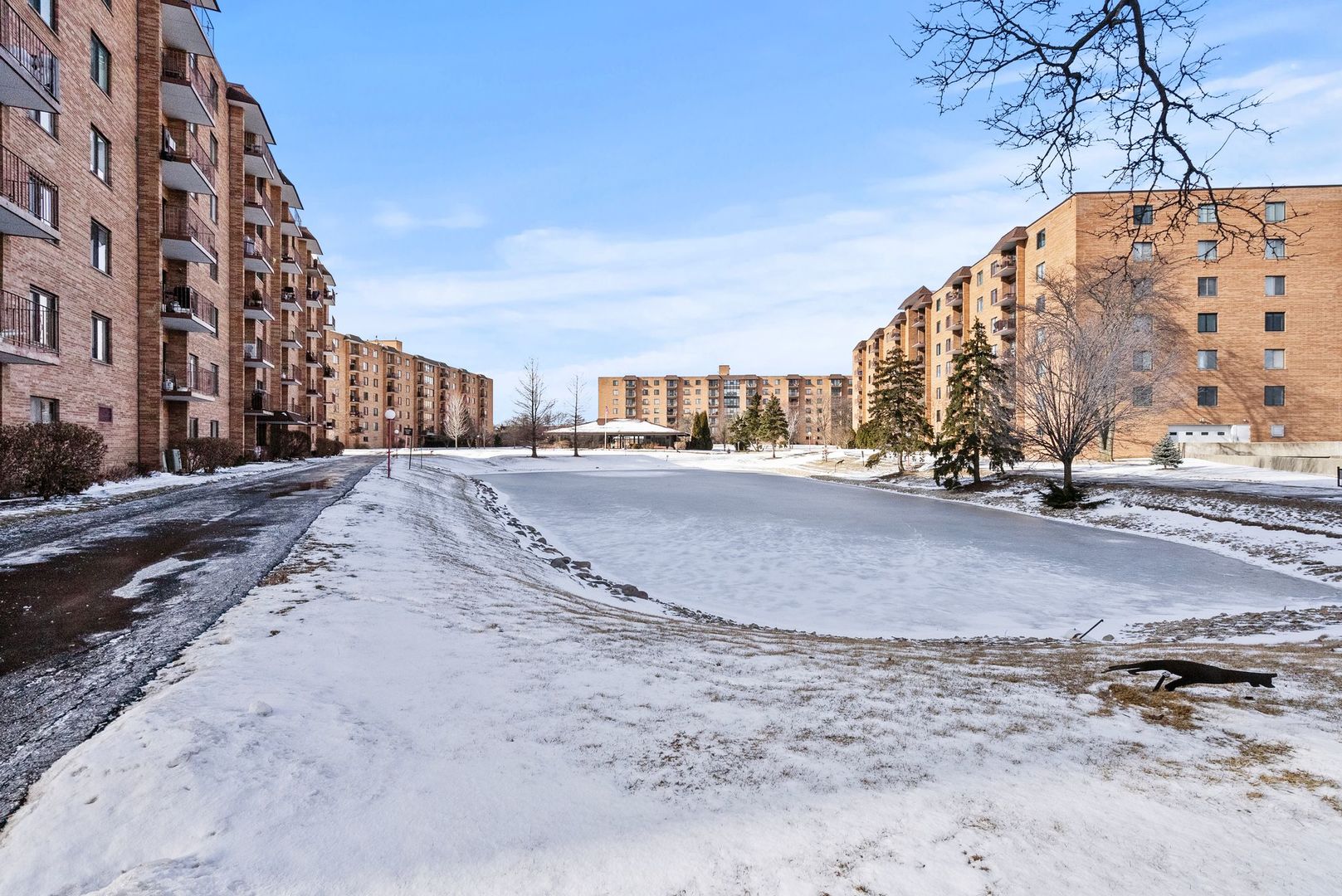 1777 W CRYSTAL Lane #307, Mount Prospect, IL 60056
