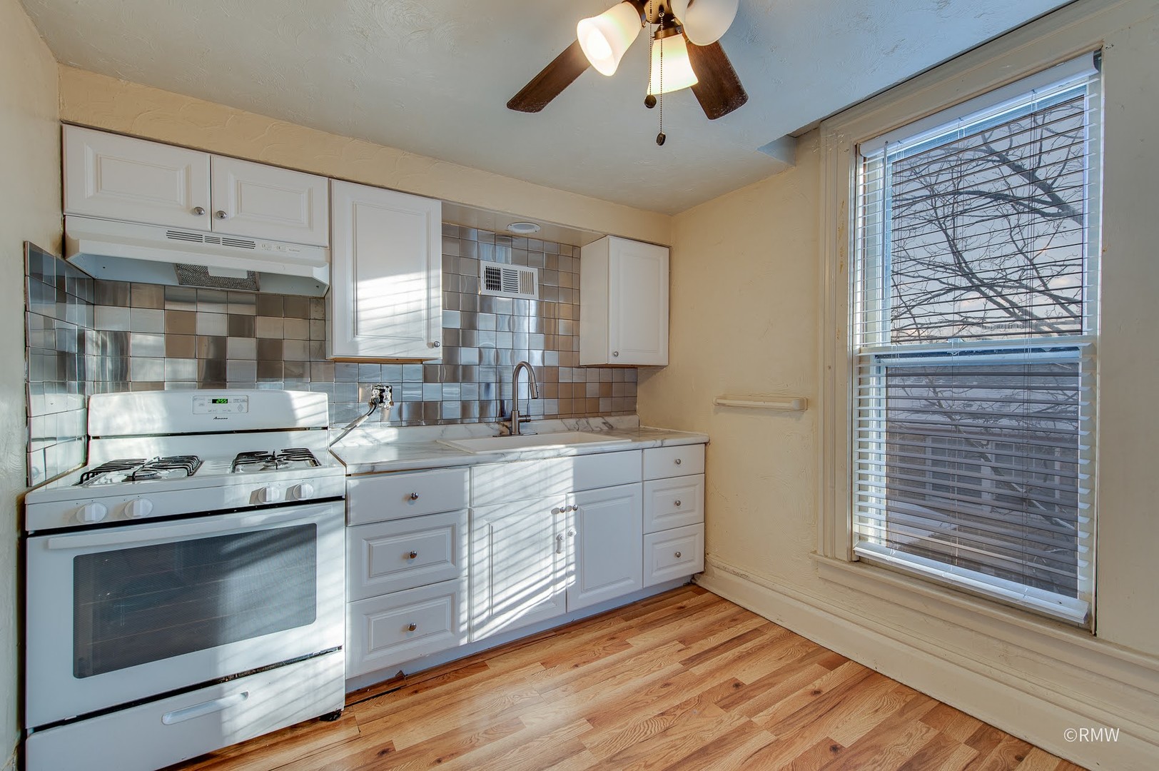 325 E Chicago Street #2, Elgin, IL 60120