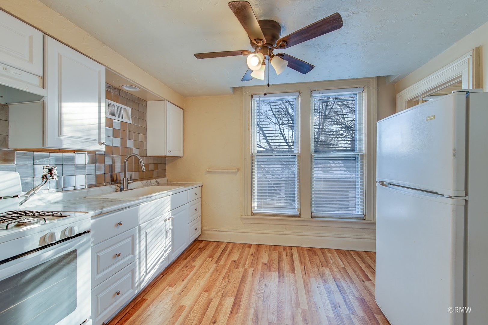 325 E Chicago Street #2, Elgin, IL 60120