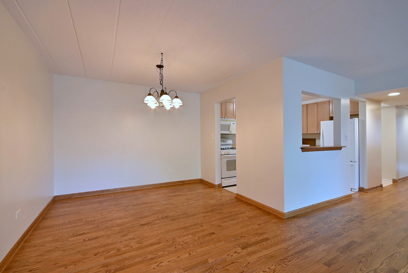 110 W Butterfield Road #302S, Elmhurst, IL 60126