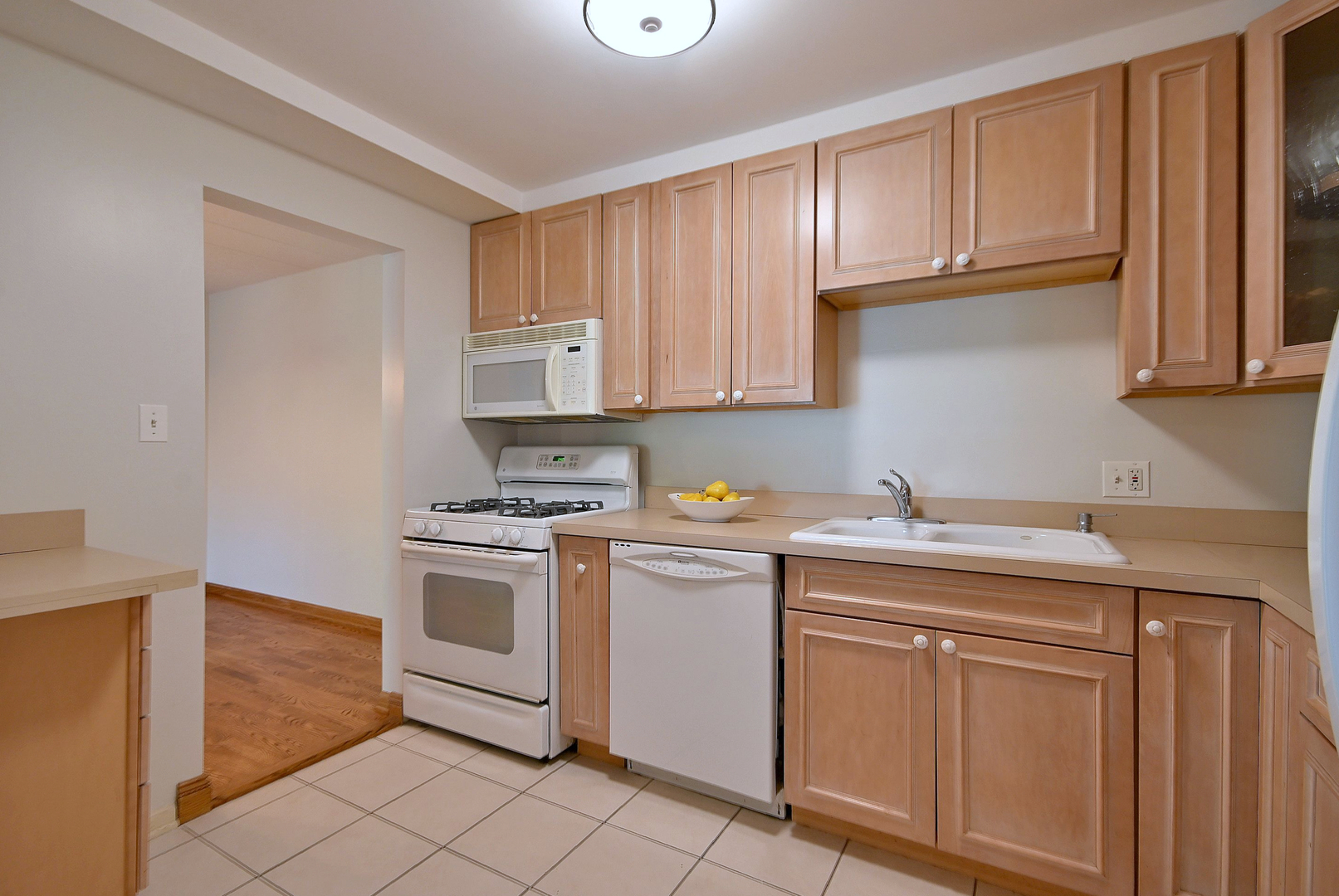 110 W Butterfield Road #302S, Elmhurst, IL 60126