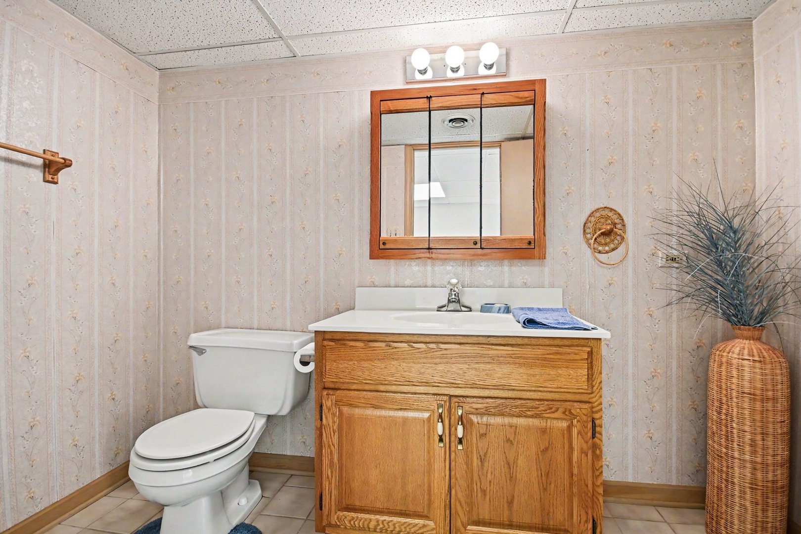 53 Village Woods Drive, Crete, IL 60417