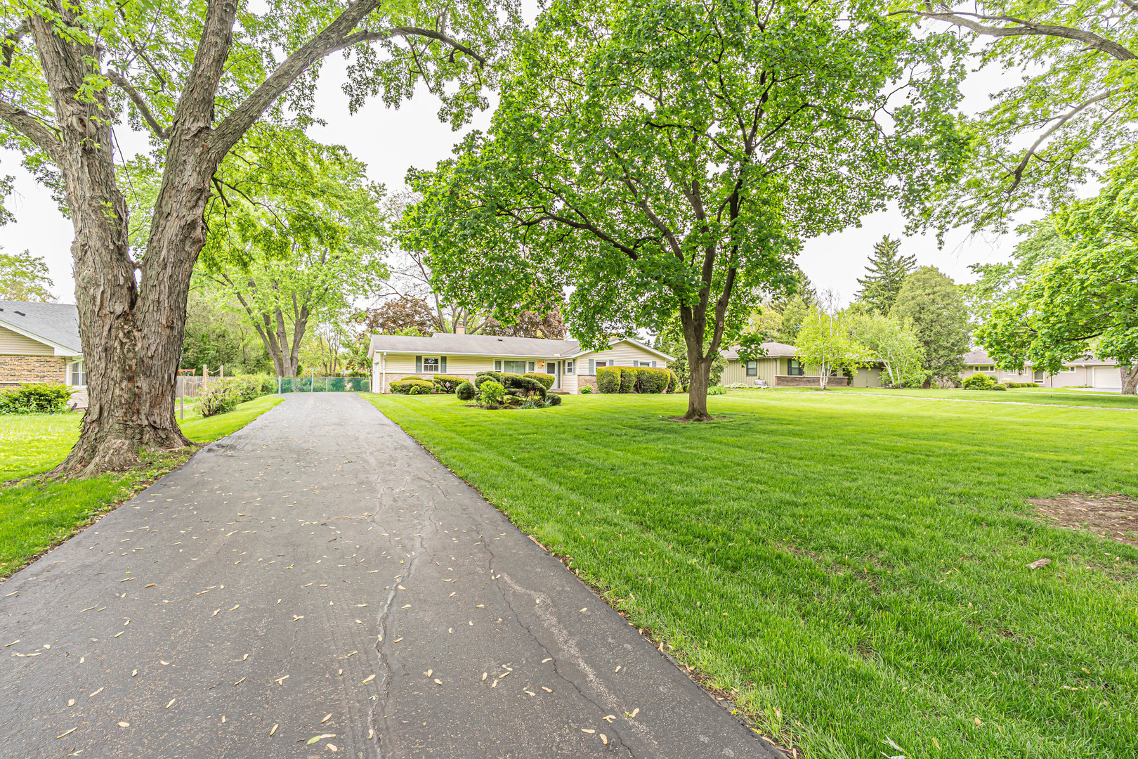 6313 Tamiami Drive, Downers Grove, IL 60516