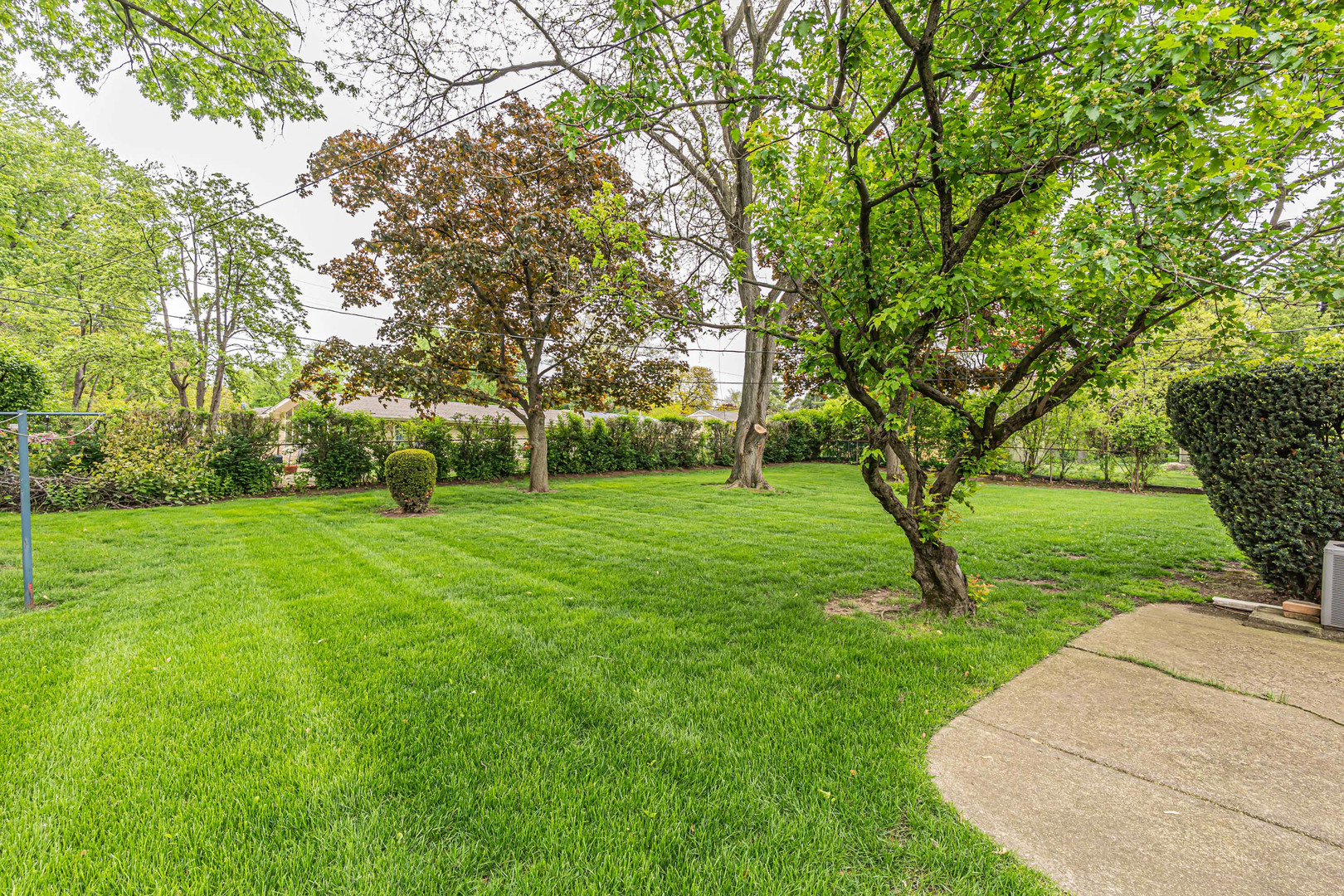 6313 Tamiami Drive, Downers Grove, IL 60516