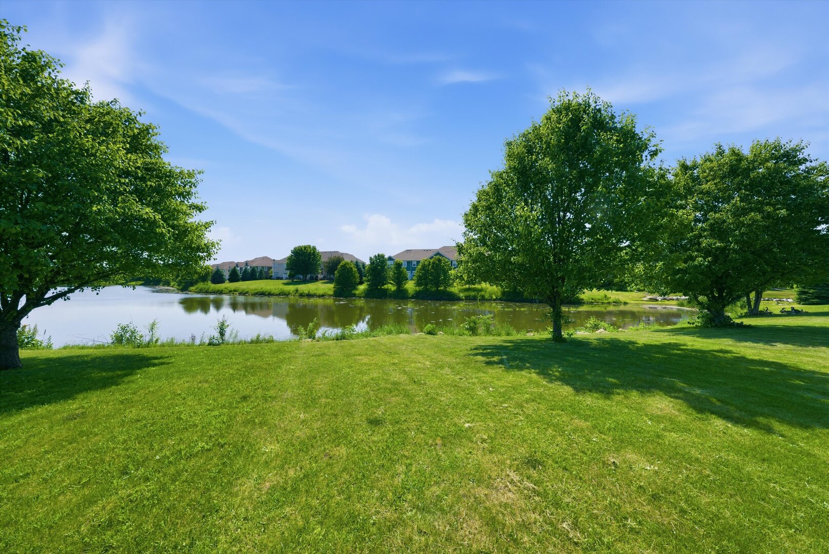 653 Otter Way, Oswego, IL 60543