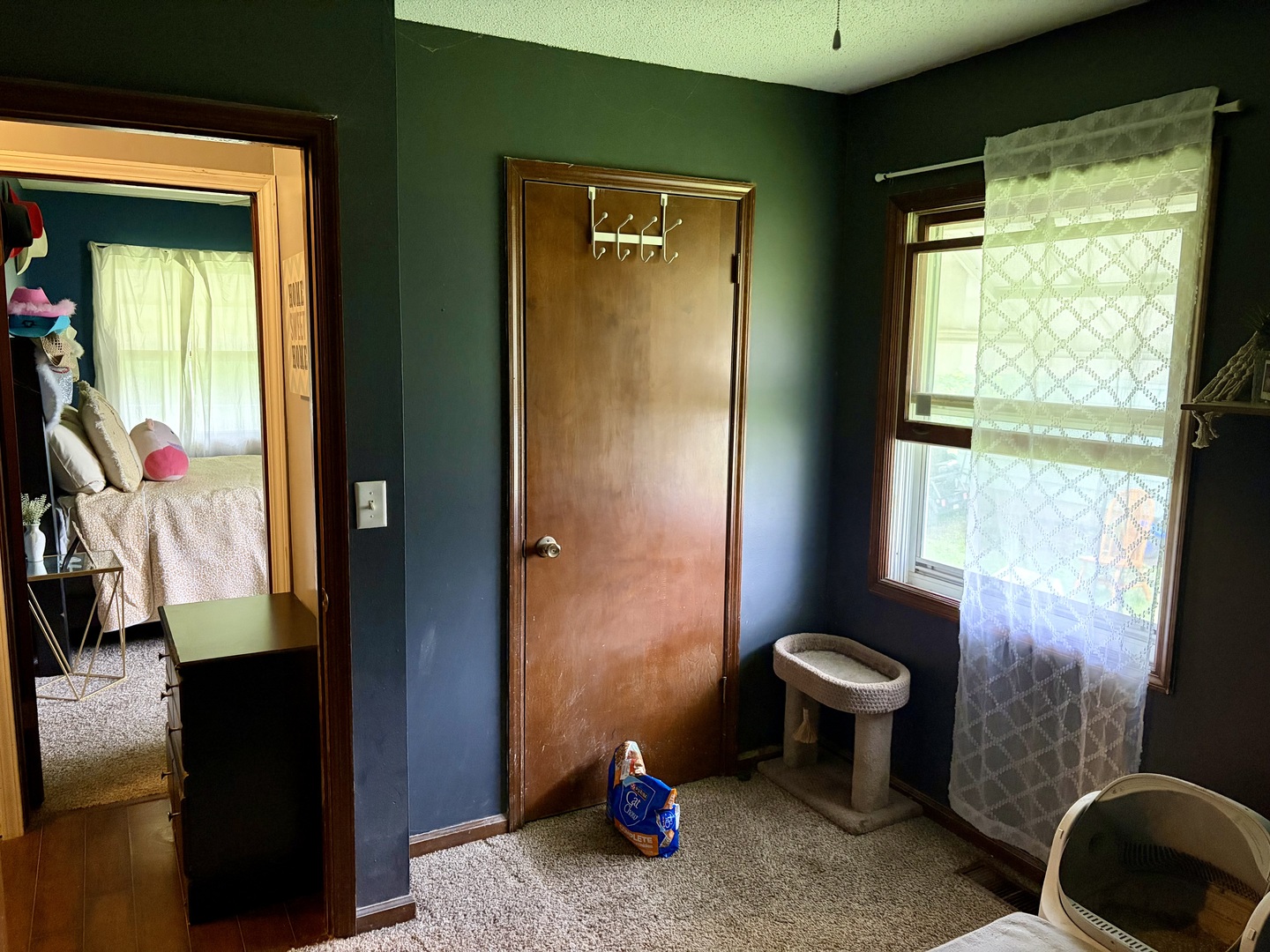6 Blair Court, Clinton, IL 61727