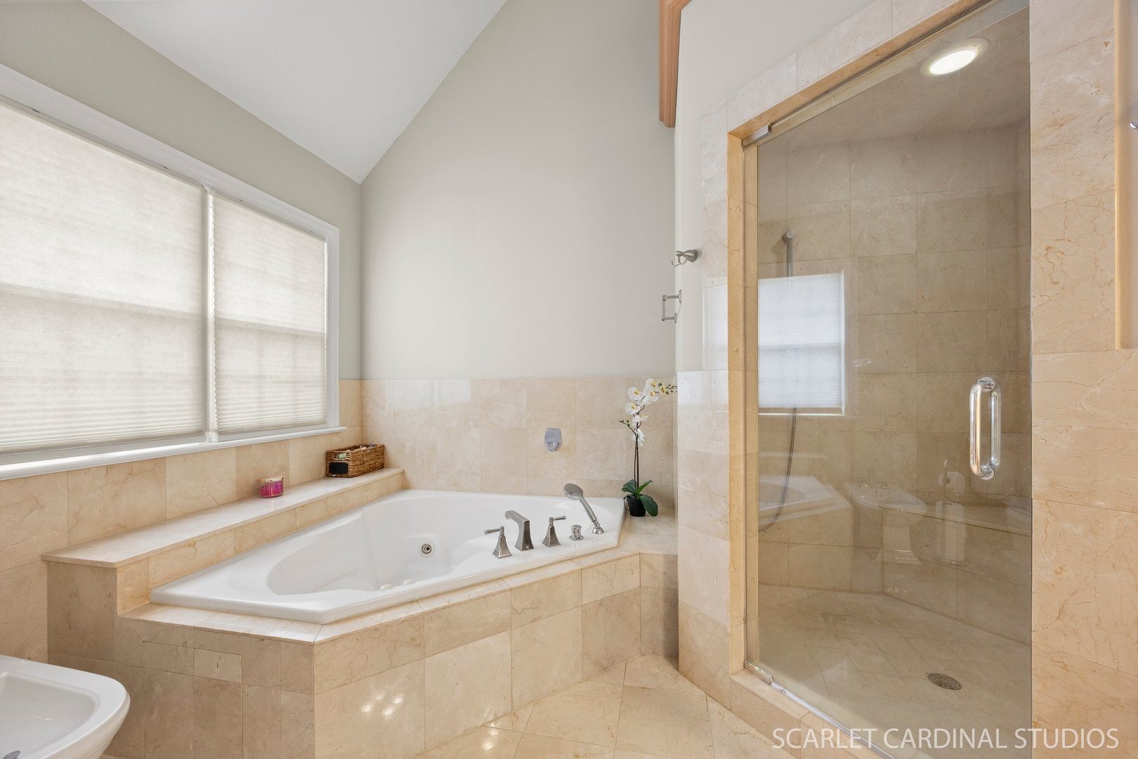 219 N Fremont Street, Naperville, IL 60540