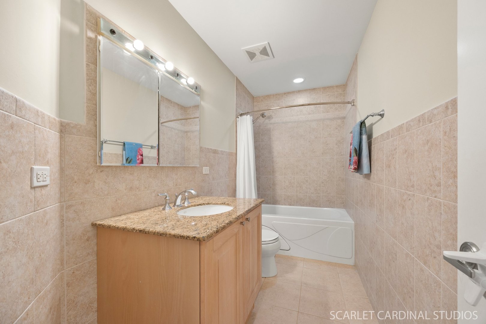 219 N Fremont Street, Naperville, IL 60540